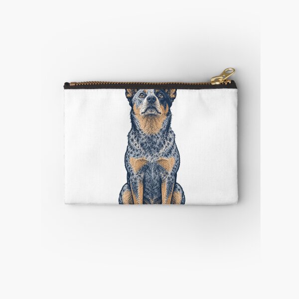 Artikelvorschau, Blue Heeler starrt einen Tennisball an entworfen und verkauft von eignvalue.