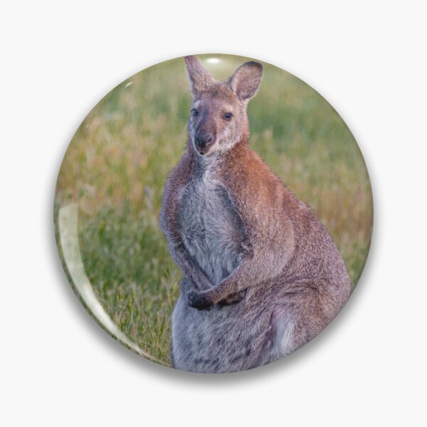 Item preview, Wallaby Standing Alert in a Grassy Field designed and sold by Twisted Light Images.