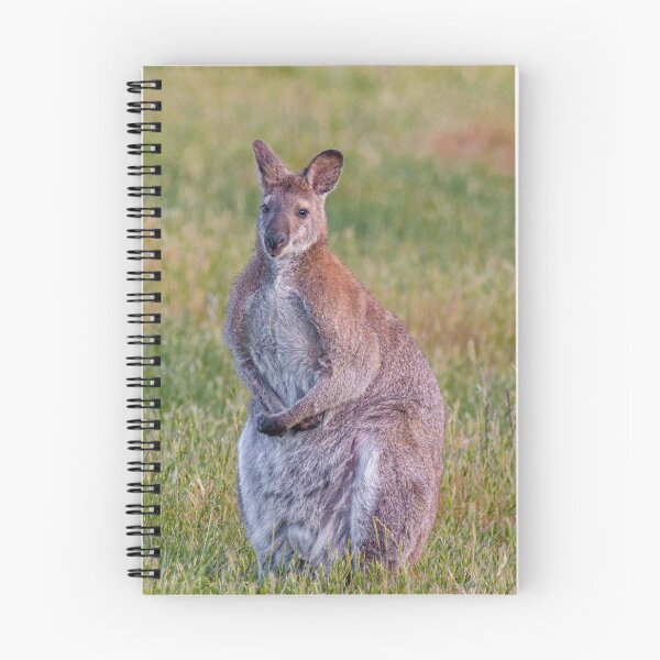 Item preview, Wallaby Standing Alert in a Grassy Field designed and sold by Twisted Light Images.