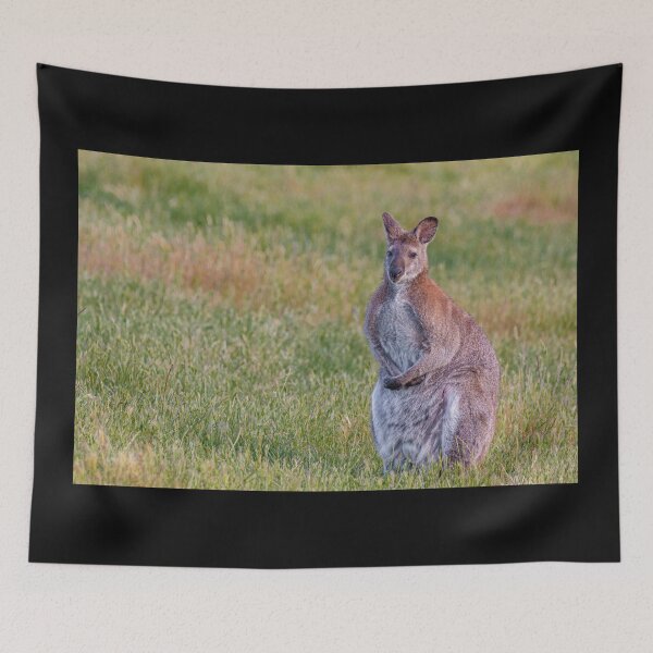 Item preview, Wallaby Standing Alert in a Grassy Field designed and sold by Twisted Light Images.