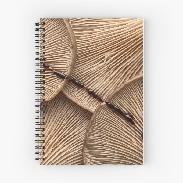 Item preview, Oyster Mushroom Gills Holding Black Garlic Glaze designed and sold by ASSEMBLE WONDER.
