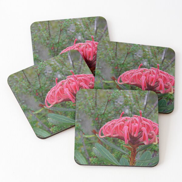 Item preview, Rojo de Tasmania designed and sold by Larry Davis.