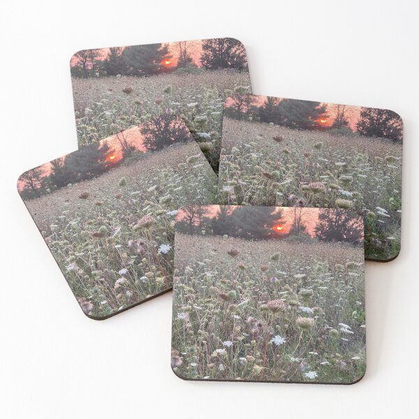 Item preview, Queen Ann's Lace designed and sold by moynagh.