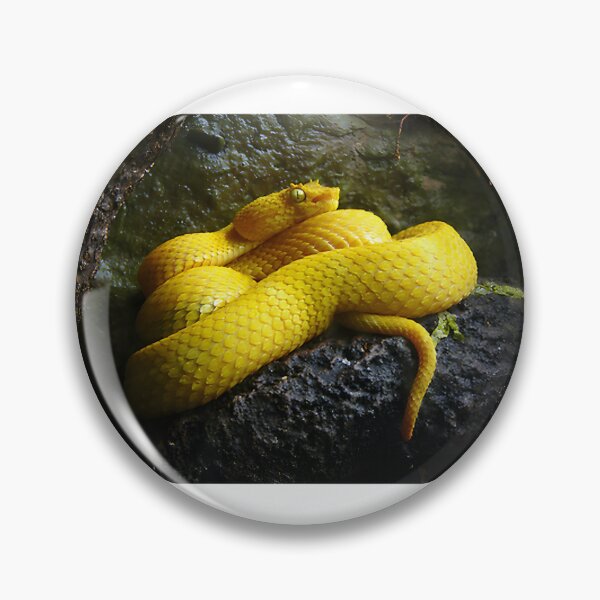 Item preview, Eyelash Viper Illustration - Colorful Tropical Snake Design designed and sold by winston213.