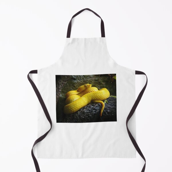 Item preview, Eyelash Viper Illustration - Colorful Tropical Snake Design designed and sold by winston213.