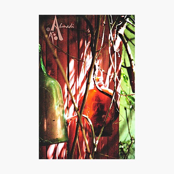 Bottles Photographic Print