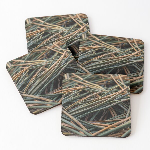 Item preview, Pine Needles Holding Green into Autumn designed and sold by ASSEMBLE WONDER.