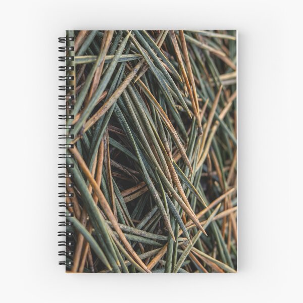 Item preview, Pine Needles Holding Green into Autumn designed and sold by ASSEMBLE WONDER.