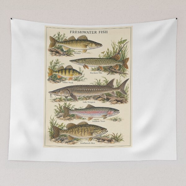 Item preview, freshwater fish designed and sold by OddlyNatural.