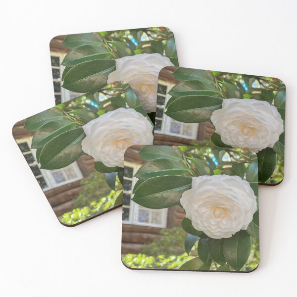 Item preview, White Camellia by a Rustic Log Cabin designed and sold by Be Captured by Brittany Emma.