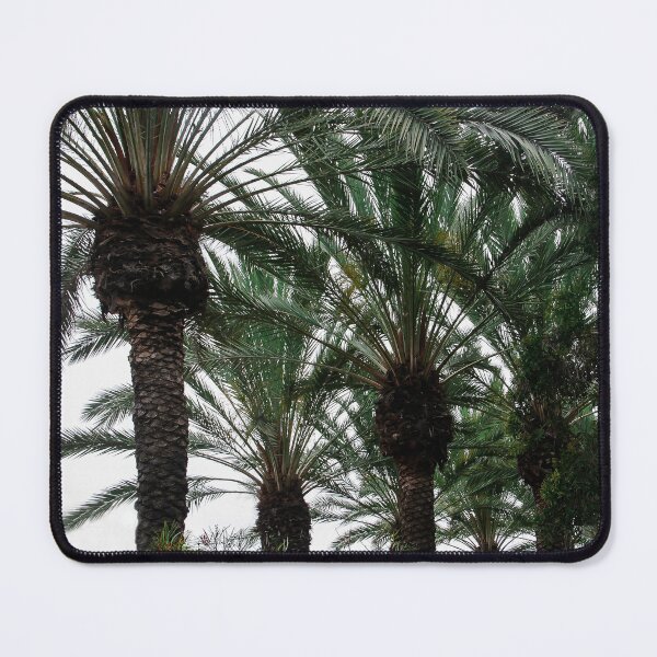 Item preview, Plenty of Palms!! designed and sold by heatherfriedman.