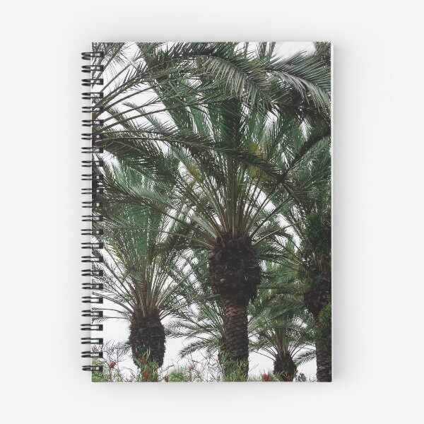 Item preview, Plenty of Palms!! designed and sold by heatherfriedman.