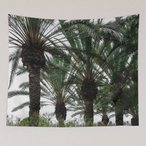 Item preview, Plenty of Palms!! designed and sold by heatherfriedman.