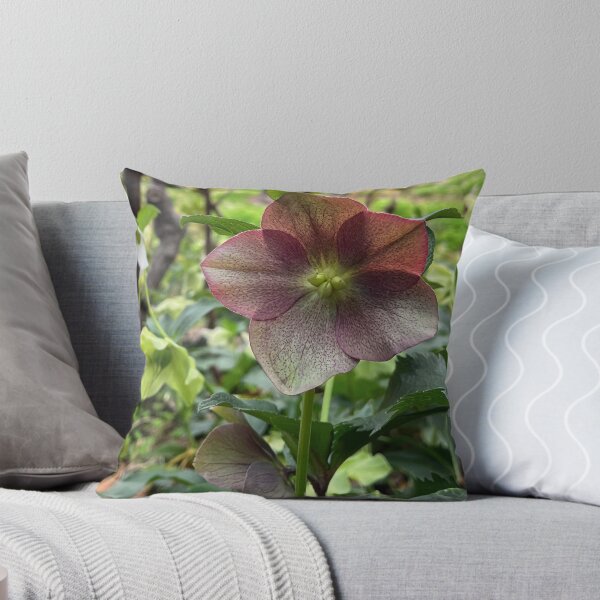 Item preview, Burgundy Hellebore in the Woodland Garden designed and sold by Be Captured by Brittany Emma.