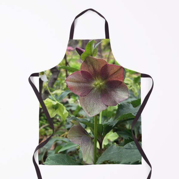 Item preview, Burgundy Hellebore in the Woodland Garden designed and sold by Be Captured by Brittany Emma.