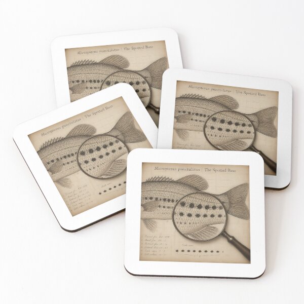 Item preview, Vintage Spotted Bass Anatomy Field Notes Graphic designed and sold by NobleCast .