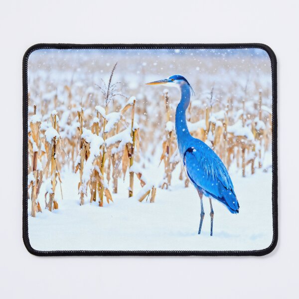 Item preview, Graceful in the Cold designed and sold by vernonplatt.