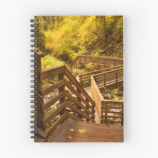 Item preview, Wooden Pathway in Autumn Forest designed and sold by jklune.