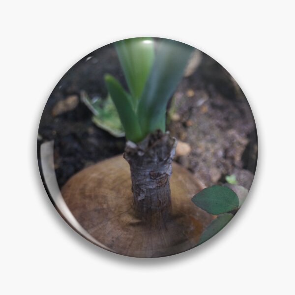 Item preview, yellow onion or brown onion designed and sold by ROSE ANN BANILAR.
