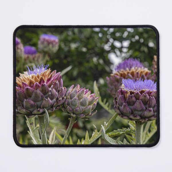 Item preview, Beautiful Artichokes designed and sold by Marylou Badeaux.