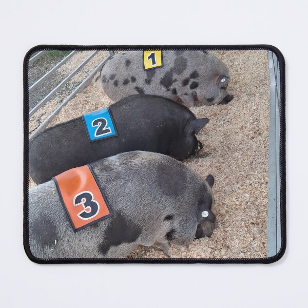 Item preview, 3 Adult Racing ? Pigs ? designed and sold by breakmydreams.