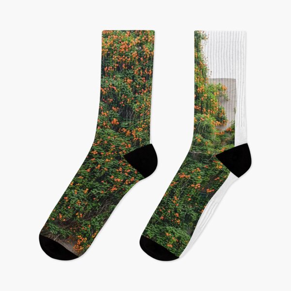 Item preview, Hummingbird iFood bPeaceful Garden designed and sold by fquikaka.