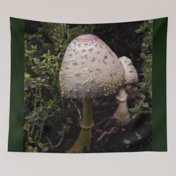 Item preview, Two in Thyme! (Where is the Dormouse?) designed and sold by heatherfriedman.