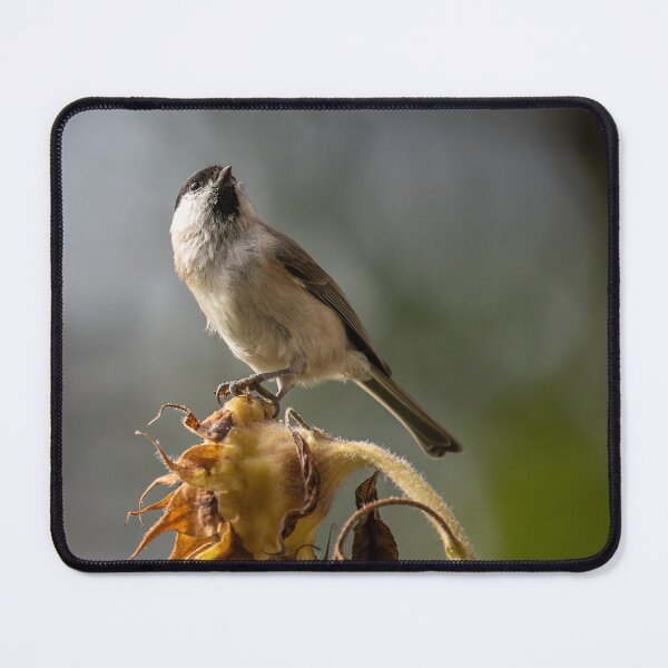 Item preview, Small Bird Perched On Dry Sunflower Head designed and sold by Mylieton.