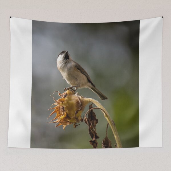 Item preview, Small Bird Perched On Dry Sunflower Head designed and sold by Mylieton.