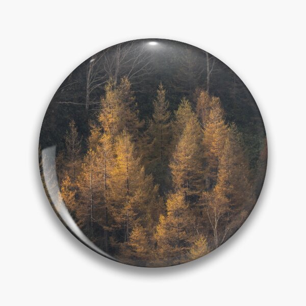 Item preview, Golden Sunlight Illuminating Autumn Forest Trees designed and sold by Mylieton.