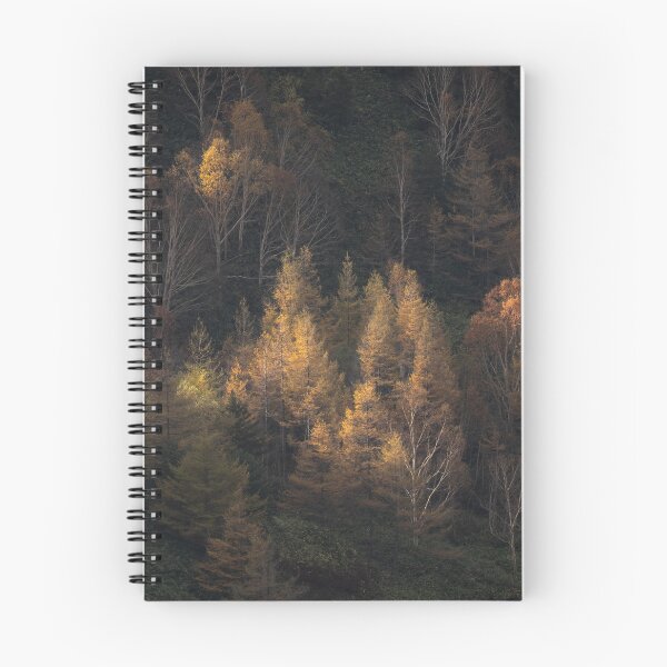 Item preview, Golden Sunlight Illuminating Autumn Forest Trees designed and sold by Mylieton.