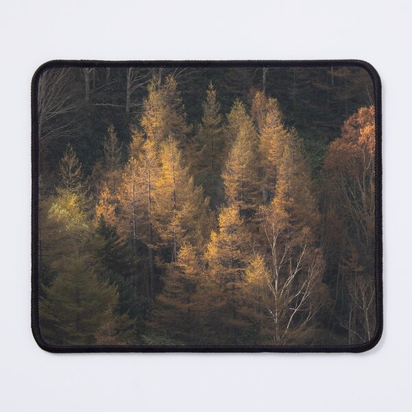 Item preview, Golden Sunlight Illuminating Autumn Forest Trees designed and sold by Mylieton.