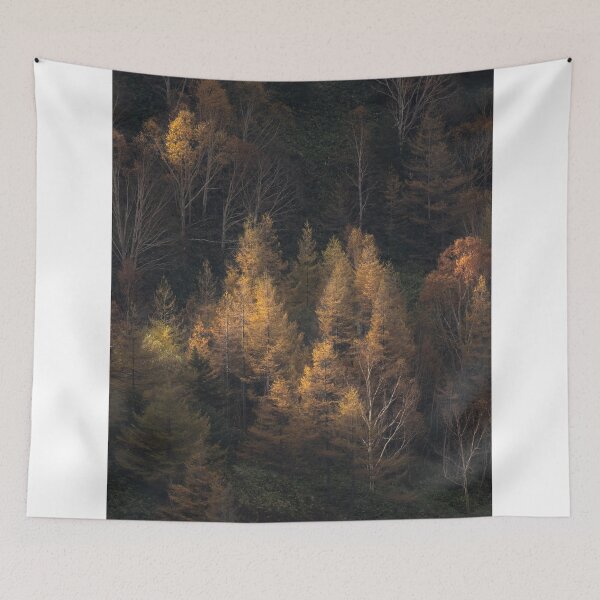 Item preview, Golden Sunlight Illuminating Autumn Forest Trees designed and sold by Mylieton.