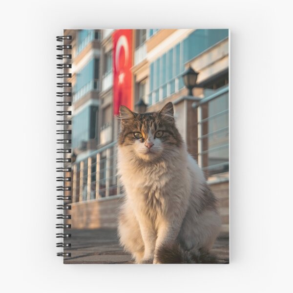 Item preview, Fluffy Street Cat Sitting In Front Of Building designed and sold by Mylieton.