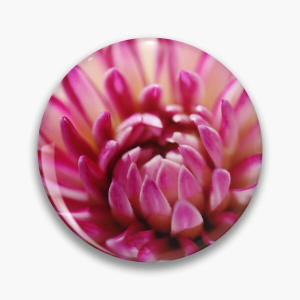 Item preview, A Gorgeous White Pink Dahlia Is Blooming designed and sold by JonnaHurmerinta.