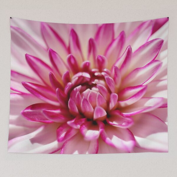 Item preview, A Gorgeous White Pink Dahlia Is Blooming designed and sold by JonnaHurmerinta.