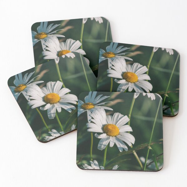 Item preview, Fresh White Daisy Flowers With Water Drops designed and sold by Mylieton.
