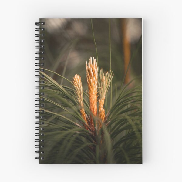 Item preview, Pine Candle Growth On Pine Tree Branch Close Up designed and sold by Mylieton.