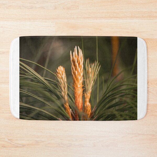 Item preview, Pine Candle Growth On Pine Tree Branch Close Up designed and sold by Mylieton.