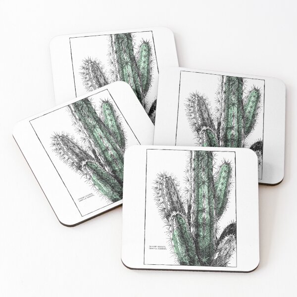 Item preview, Sharp Edges, Simple Needs — Cactus Illustration designed and sold by Ekaterina  Biserova.
