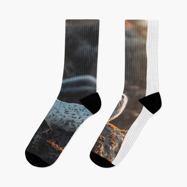 Item preview, Caring Akercocke Band aPractice Professionals designed and sold by litusxca.