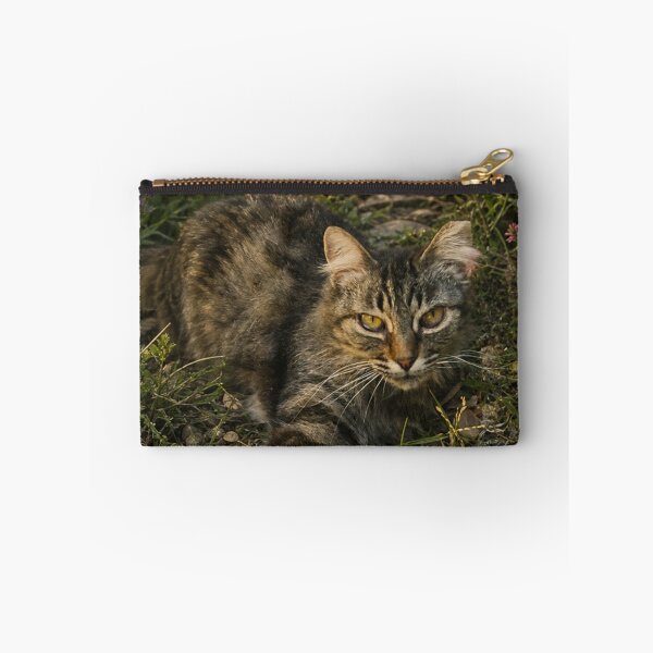 Item preview, A beautiful old, stray, and lonely cat designed and sold by GoodPlaceToShop.