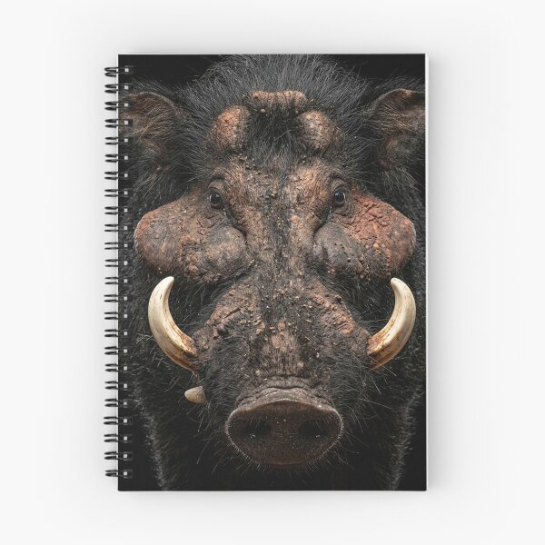 Item preview, Effective Akercocke Band Practice Strategy designed and sold by litusxca.