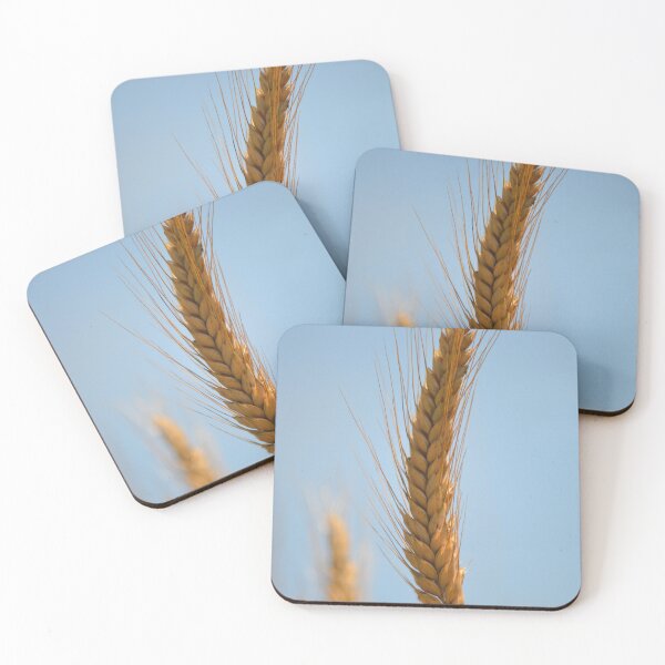 Item preview, Close Up Of Golden Wheat Ear Against Blue Sky designed and sold by Kylodt.