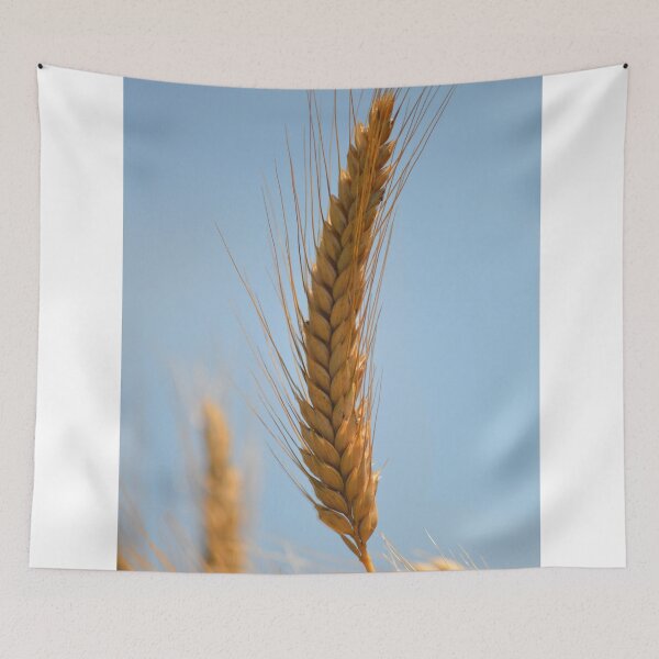 Item preview, Close Up Of Golden Wheat Ear Against Blue Sky designed and sold by Kylodt.