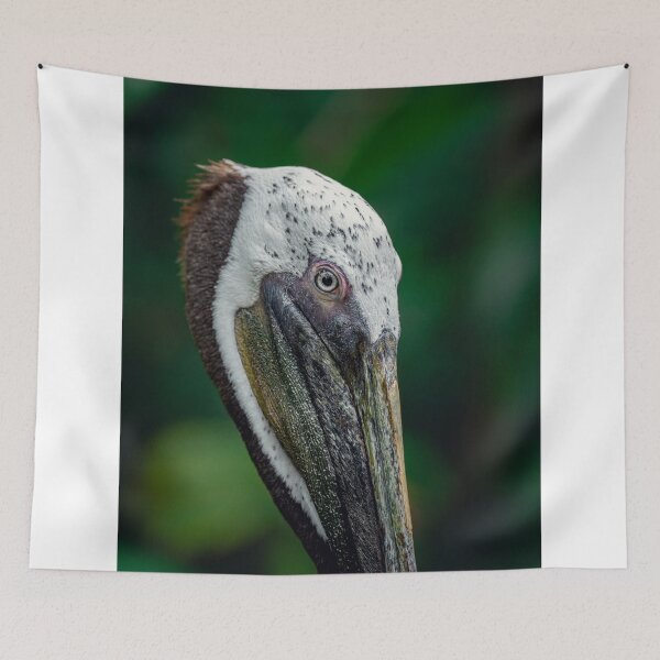 Item preview, Detailed Close Up Portrait Of Pelican Head designed and sold by Kylodt.