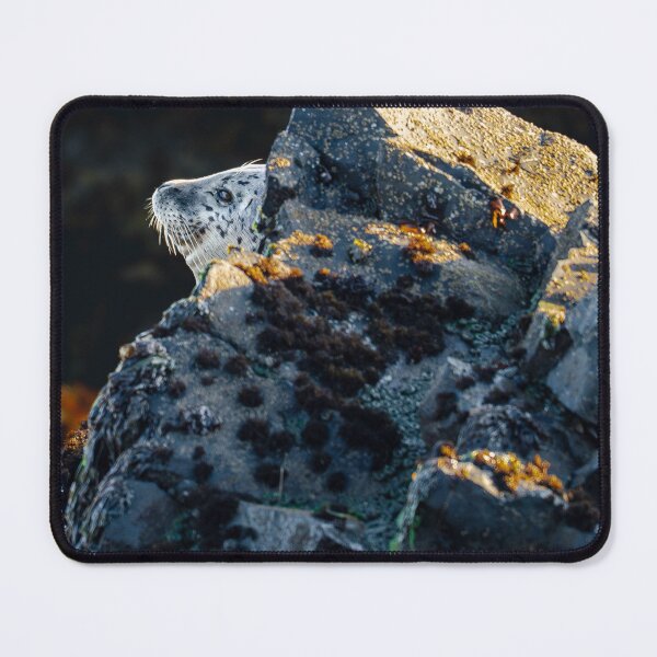Item preview, Sweet Dell dScoop Society designed and sold by Markjueazley.
