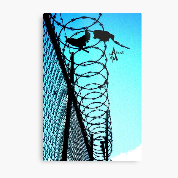 Entangled Metal Print