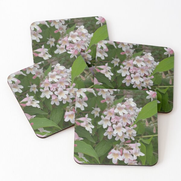 Item preview, Born Maple Leaf Learning bFor Ice Cream designed and sold by Laibexplorphoto.