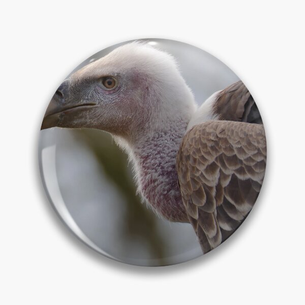 Item preview, Side Profile Portrait Of Vulture Bird designed and sold by Hiltonaw.
